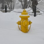 fire-hydrant-001 fire-hydrant-001